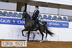 12r9_5021 thumbnail