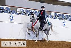 12r9_5024 thumbnail