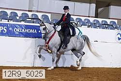 12r9_5025 thumbnail