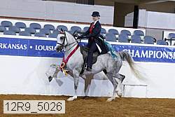 12r9_5026 thumbnail