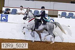 12r9_5027 thumbnail