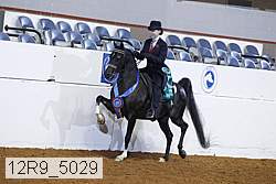 12r9_5029 thumbnail