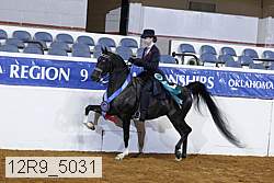 12r9_5031 thumbnail