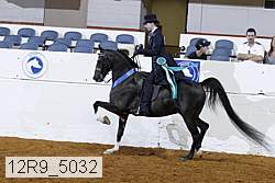 12r9_5032 thumbnail