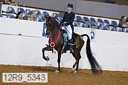 12r9_5343 thumbnail