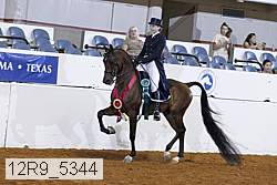 12r9_5344 thumbnail