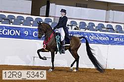 12r9_5345 thumbnail