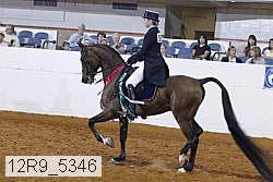 12r9_5346 thumbnail