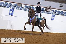 12r9_5347 thumbnail