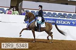12r9_5348 thumbnail