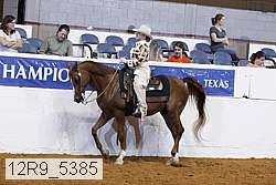 12r9_5385 thumbnail