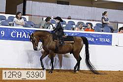 12r9_5390 thumbnail