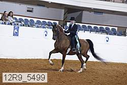 12r9_5499 thumbnail