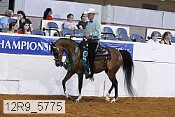 12r9_5775 thumbnail