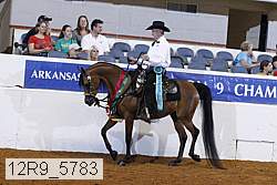12r9_5783 thumbnail