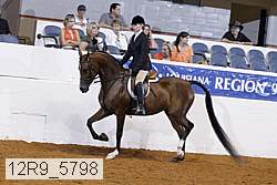 12r9_5798 thumbnail