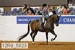12r9_5823 thumbnail