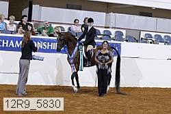 12r9_5830 thumbnail