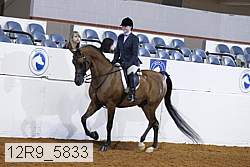 12r9_5833 thumbnail