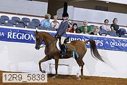 12r9_5838 thumbnail