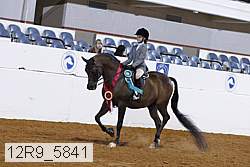 12r9_5841 thumbnail