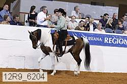 12r9_6204 thumbnail