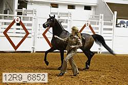 12r9_6852 thumbnail