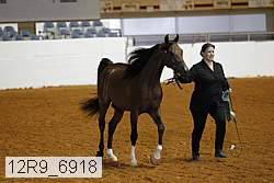 12r9_6918 thumbnail