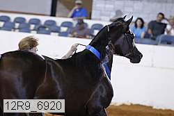12r9_6920 thumbnail