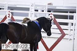 12r9_6922 thumbnail
