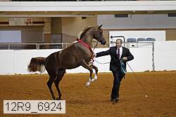12r9_6924 thumbnail