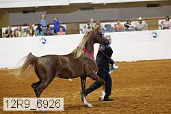 12r9_6926 thumbnail