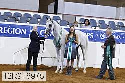 12r9_6975 thumbnail