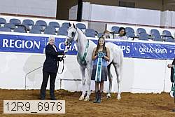 12r9_6976 thumbnail