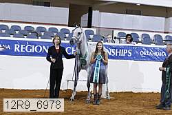 12r9_6978 thumbnail