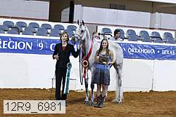 12r9_6981 thumbnail