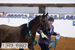 12r9_6992 thumbnail