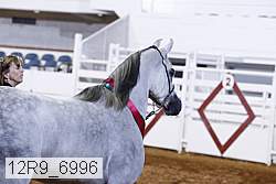 12r9_6996 thumbnail