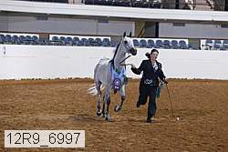 12r9_6997 thumbnail