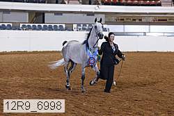 12r9_6998 thumbnail