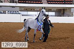 12r9_6999 thumbnail