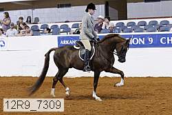 12r9_7309 thumbnail
