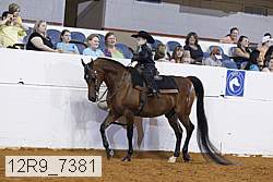 12r9_7381 thumbnail