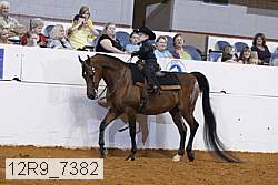 12r9_7382 thumbnail