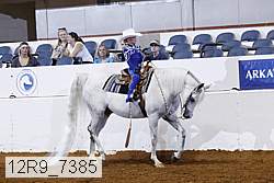 12r9_7385 thumbnail