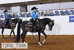 12r9_7386 thumbnail