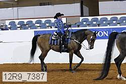 12r9_7387 thumbnail