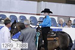 12r9_7388 thumbnail
