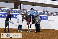 12r9_7389 thumbnail