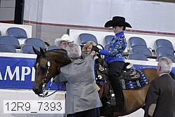 12r9_7393 thumbnail